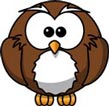 Interesting Information about Owls