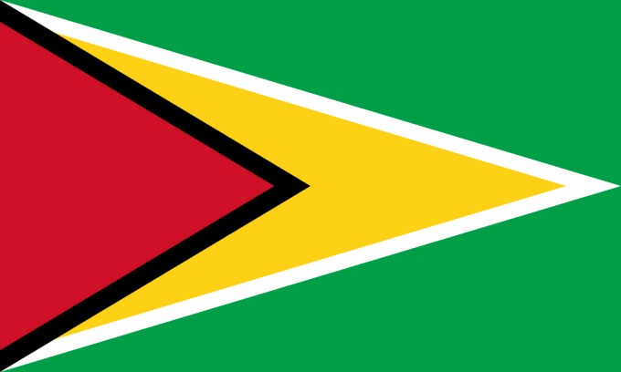 Flag of Guyana