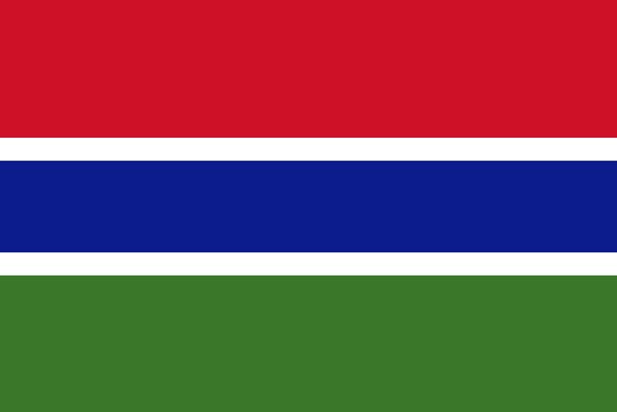 Flag of The Gambia 
