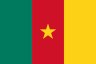 Flag of Cameroon