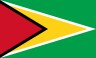 Flag of Guyana