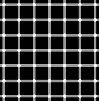 This picture is an example of a scintillating grid illusion. Discovered in 1994 by E. Lingelbach, it is similar to the Hermann grid illusion. When looking at the grid, dark dots seem to appear and disappear at random.