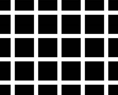 Dark spots seem to appear at the intersections in this example of the Hermann grid illusion. This effect is often explained by a neural process called lateral inhibition.